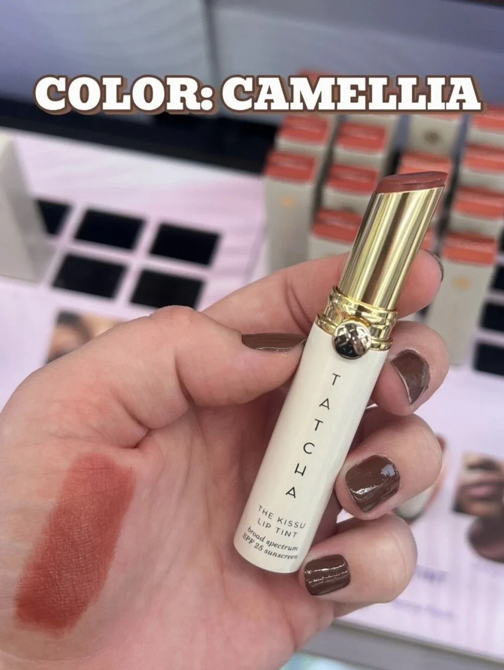❇️CAMELLIA Tatcha DISCONTINUED Kissu Lip Tint NWT